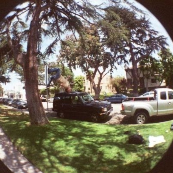 Meet your Posher, Dylan - Picture 1 of 1